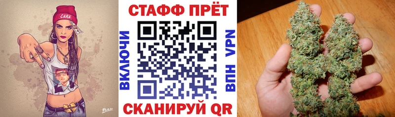 Где купить Жиздра Кокаин  СК  Гашиш  Марихуана  Мефедрон 