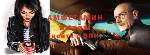 шишки Медвежьегорск