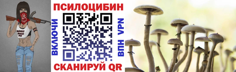как найти наркотики  Жиздра  Псилоцибиновые грибы ЛСД 